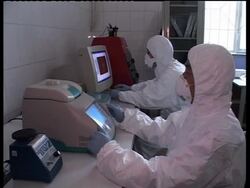 NKorean authorities undertake measures  to fight swine flu News Clip