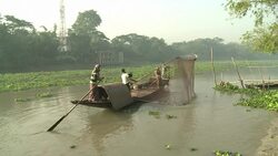 VOICED : Bangladesh otter fishing tradition faces News Clip