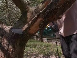 Man sawing off branch Stock Footage