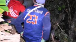 21 reported killed in western Cameroon bus crash Instructional Video