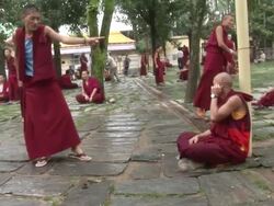 MS Monks training with some sort of physical activity were one sits and one stands AUDIO / Dharamsala, Himachal Pradesh, India Stock Footage