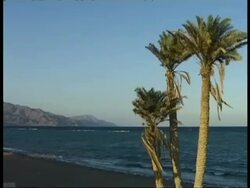 WA beach across water, palm trees and mountains in distance, Egypt Stock Footage