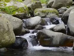 CU Shot of Solenzara Mountain rock river in forest / Col de Bavella, Corsica, France Stock Footage