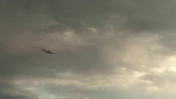 Dinosaur hatchlings wander around as a Quetzalcoatlus flies overhead in a computer generated animation. Stock Footage