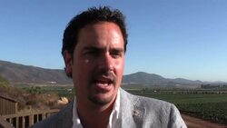 VOICED: Winemakers toast harvest in Mexican desert News Clip