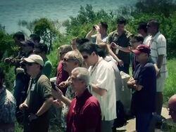 Mars Curiosity Rover is Launched into Space Stock Footage