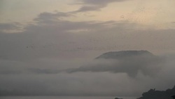 Birds flying Stock Footage