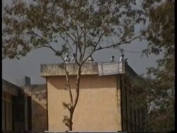 Bangladesh - Prison revolt News Clip