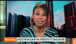 Singapore Passes Law to Punish Haze Crimes News Clip