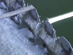 Sewage treatment works Stock Footage