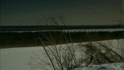 Dense swaths of evergreens border snowy tundra in Alaska. Stock Footage
