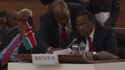 CLEAN : African leaders address DRC issues News Clip