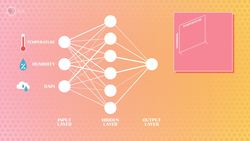 Training Neural Networks Instructional Video