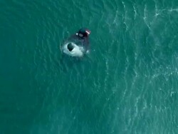 MS AERIAL Shot of paramedic rescuing man in sea / Cape Town, Western Cape, South Africa Stock Footage