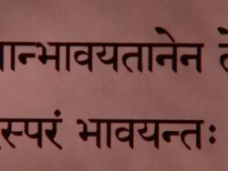 CU PAN Bhagavad Gita in Sanskrit / New York City, New York, USA  Stock Footage