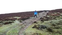 Dedicated Fel Runner Stock Footage