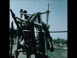 SYND 15 6 78 SCENES OF DROUGHT AND STARVATION IN ERITREA News Clip