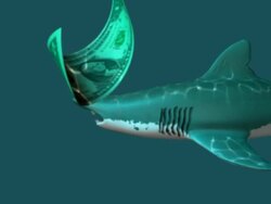 Tiger Shark and Dollar Bill Stock Footage