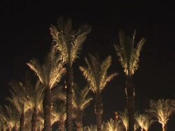 Doha Tribeca Film Festival 2009 - Day 1 Highlights Stock Footage