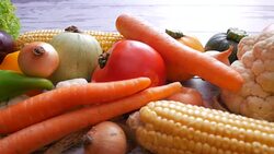 On the organic farmer's market Stock Footage