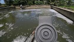 Waste Water Treatment. Stock Footage