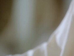 MS TD Woman preparing bubble-bath  / Seattle, WA, United States Stock Footage