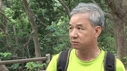 VOICED: Birth control prescribed for Hong Kong monkeys News Clip