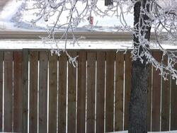 Vehicles passing by Stock Footage