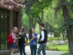 Students on campus Stock Footage