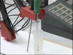 Authorities fear spread of H5N1 strain to Serbia News Clip