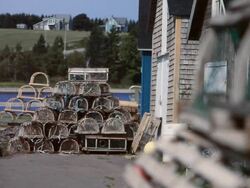 Lobster Traps on a Dock in Prince Edward Island Stock Footage