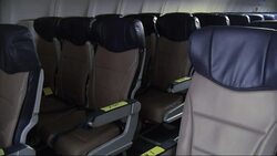 The Federal Communications Commission is considering lifting its longtime prohibition on making cellphone calls on airplanes, saying it is time "to review our outdated and restrictive rules." (Nov. 22) News Clip