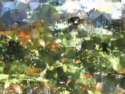 series transcendental fields : from provence, bright (LOOP) Stock Footage