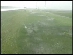 WA Large hail stones falling on wet grass, USA Stock Footage