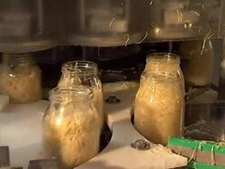 Glass jar with pickled cabbage on conveyor line Stock Footage