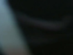 Yellowtail clownfish (Amphiprion clarkii) eggs, laid between anemones, Southern Visayas, Philippines Stock Footage