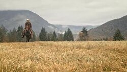 DS Cowboy riding in the mountains on a brown horse Stock Footage