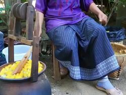 Boiling Silk Cocoons Processing Stock Footage