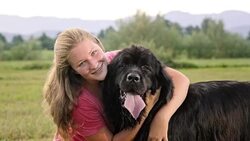 SLO MO Portrait of woman with Newfoundland dog in meadow Stock Footage