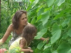 In the greenhouse Stock Footage