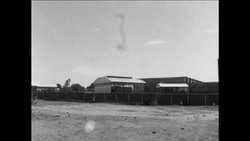SYND 25 9 68 A SWARM OF LOCUSTS INVADES THE FERTILE LANDS OF SUDAN Instructional Video