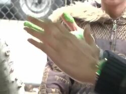 Wilmer Valderrama Helps NYC Kids Plant Community Garden Stock Footage