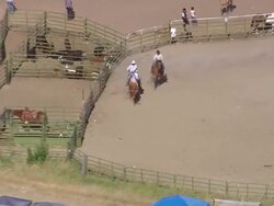 MS AERIAL TS Cowboys catching bull / Montana, United States Stock Footage
