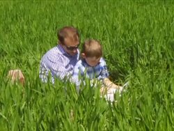 Dad and son read book Stock Footage