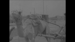 CAN947 BRITISH CONTROLS CONTINUE SEARCH FOR EXPLOSIVES WHILE LOCAL FESTIVAL CELEBRATED IN ADEN News Clip