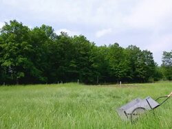 MS SLO MO Shot of Farmer rolls wheel barrow through field at an organic farm / Chatham, Michigan, United States Stock Footage