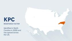 Maryn McKenna: What do we do when antibiotics don't work any more? Instructional Video