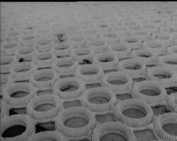 LORD'S SKI SCHOOL News Clip