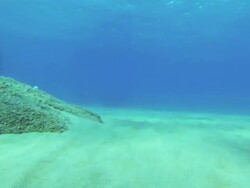 Snorkeling and diving point of view Stock Footage