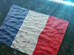 Flag of France at the stadium Stock Footage